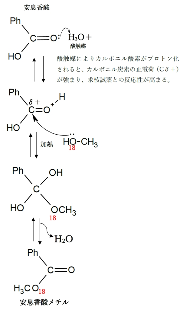 カルボン酸とアルコール　フィッシャーのエステル合成　反応機構　88回問12ab